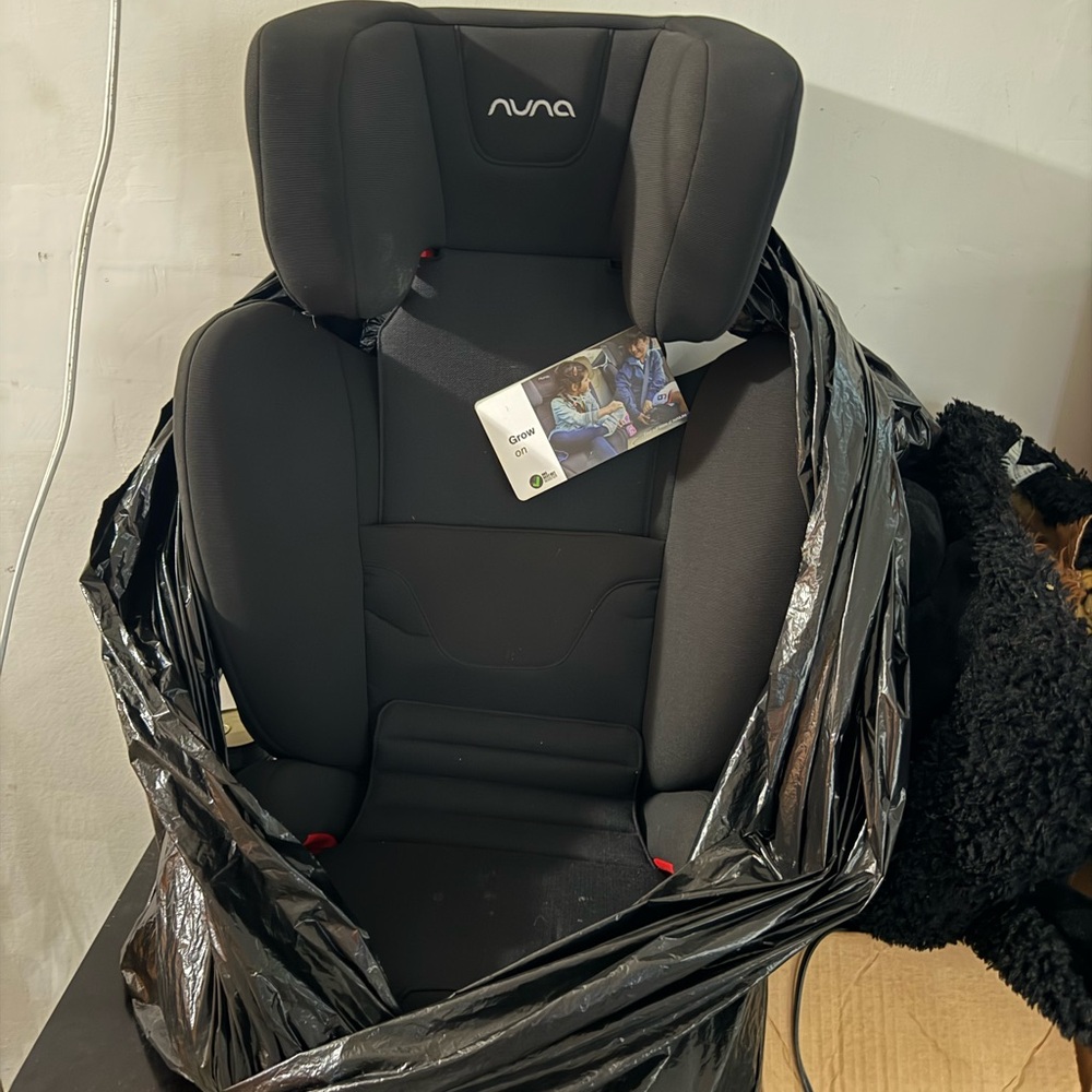 Nuna Black Car Seat